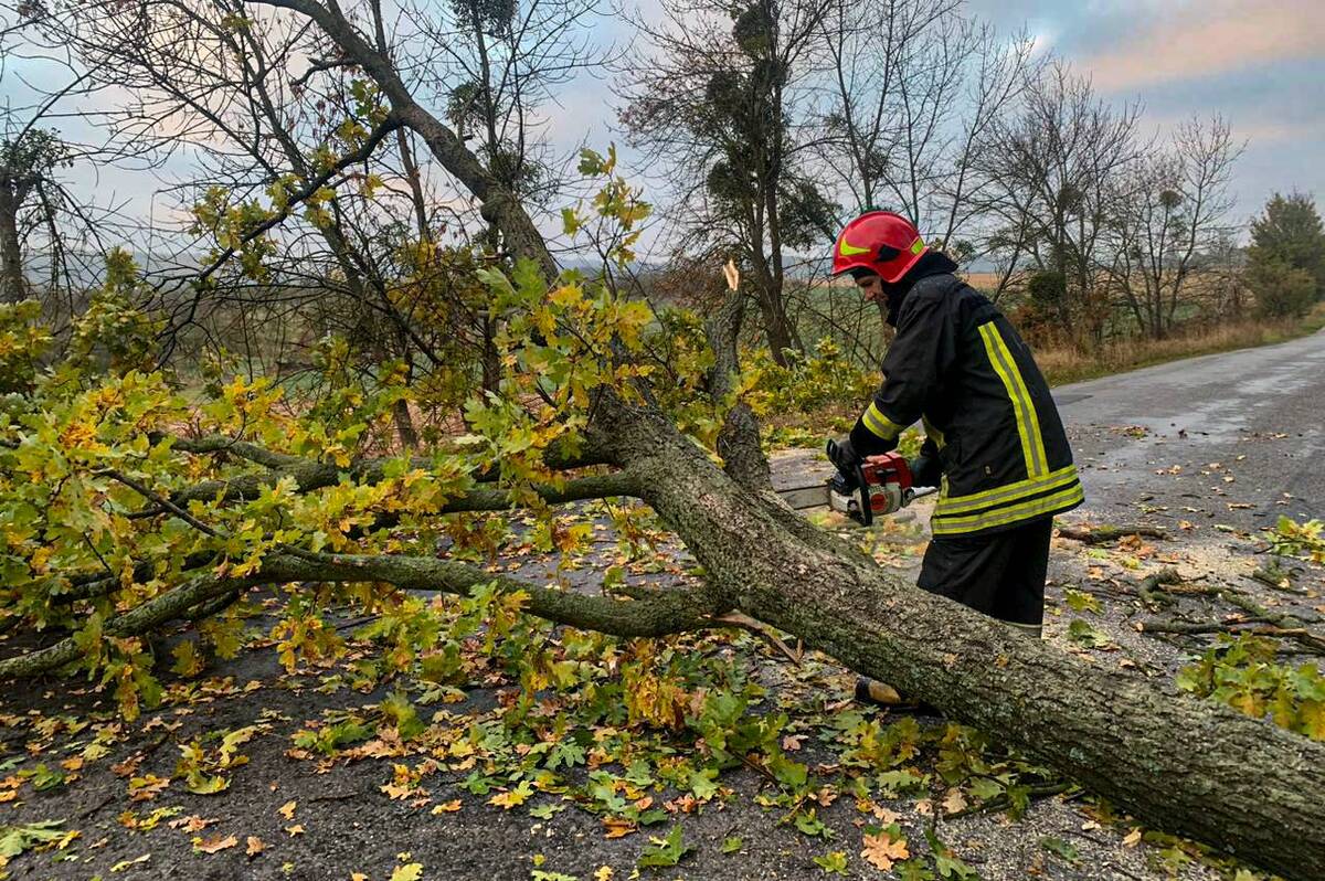 На Вінниччині через сильний вітер дерево впало на дорогу