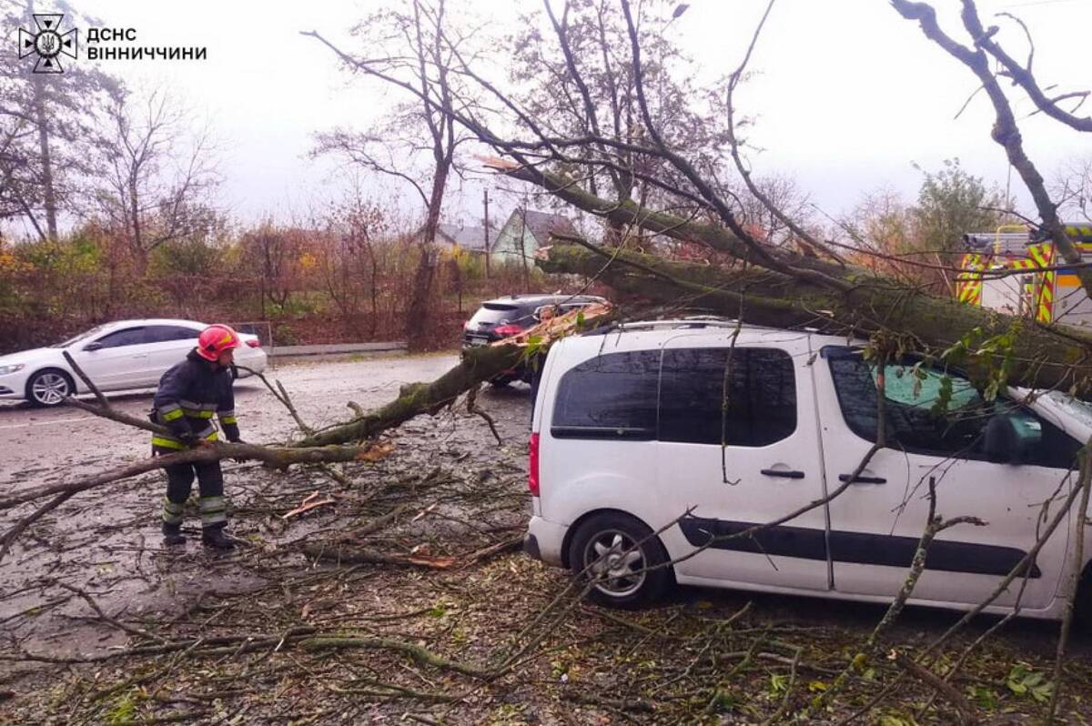 На Вінниччині вітер повалив дерева, одне впало на авто