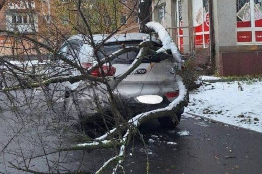 У Вінниці дерево впало на авто (фото+ відео) 