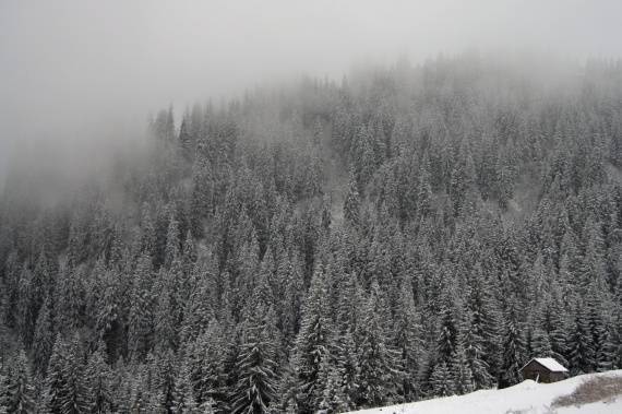 Якою буде погода на Вінниччині у четвер та п'ятницю, 28-29 листопада: прогноз