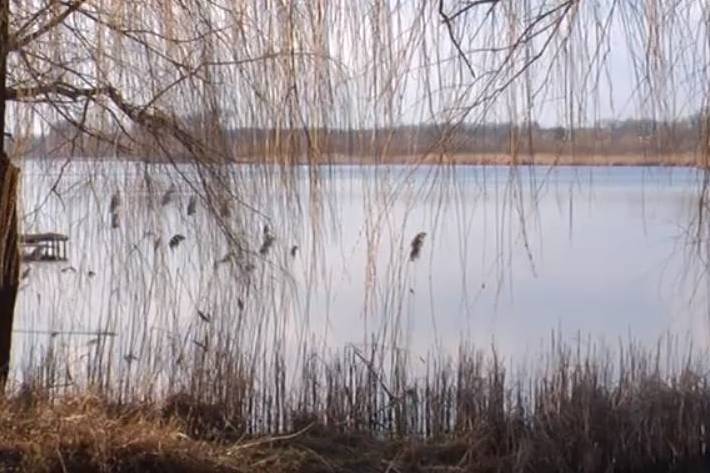 У Вінниці екологи провели моніторинг якості води у Вишенському озері