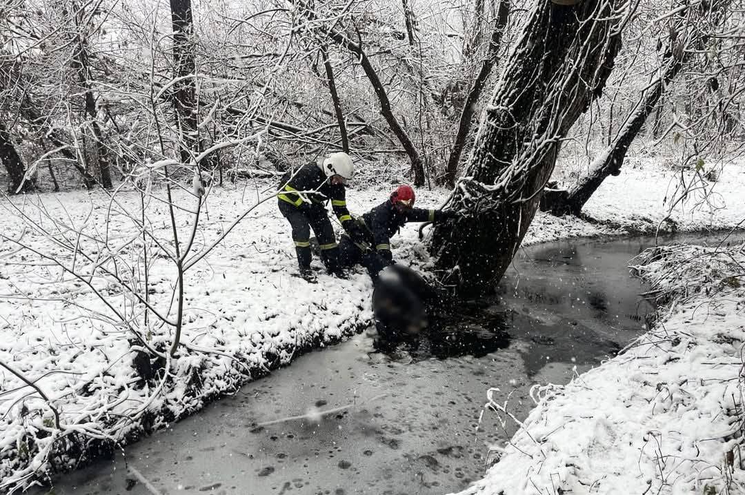 З водойми на Вінниччині дістали тіло загиблого чоловіка: подробиці