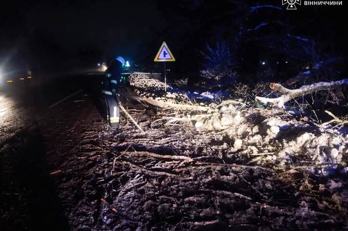 На Вінниччині через негоду вітер масово валить дерева: подробиці