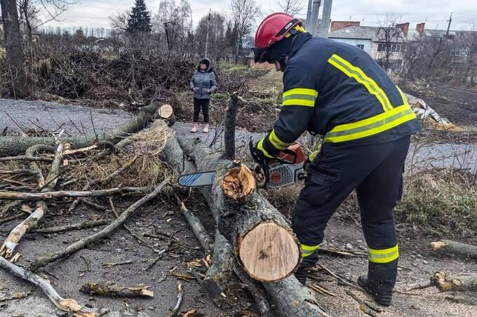 На Вінниччині вітер повалив десять дерев за день (фото)