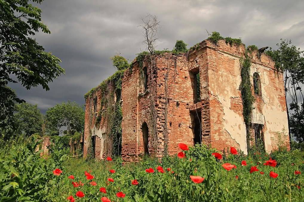 Знімок руїн палацу Шостаковського визнали найкращою світлиною Вінниччини 2024 року (фото)