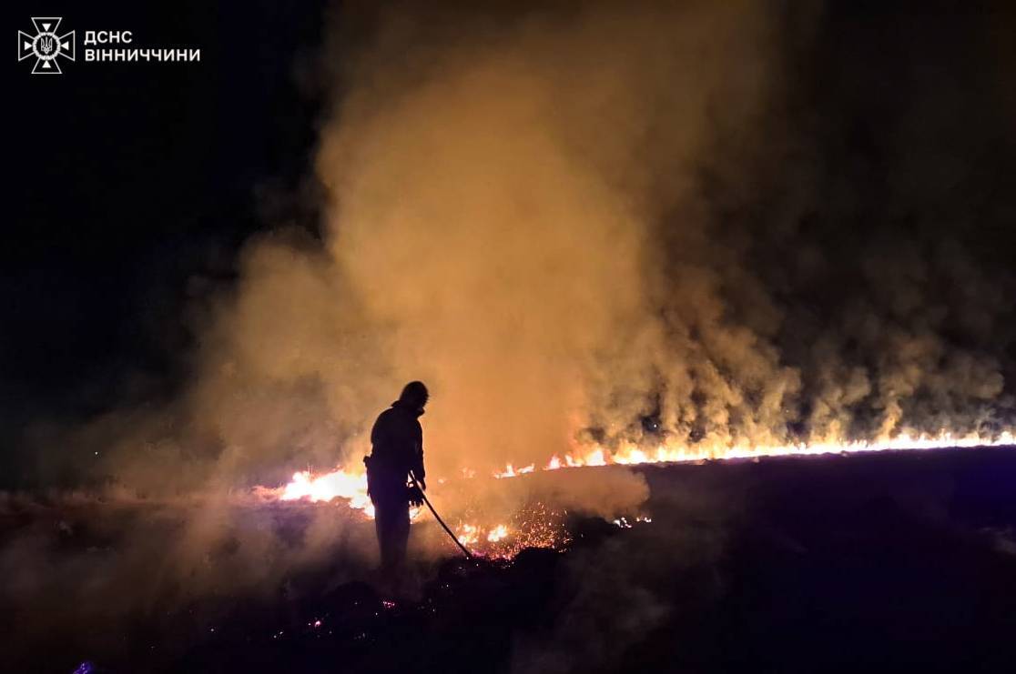 Палаючі гектари: рятувальники боролися з вогнем у селах Вінниччини