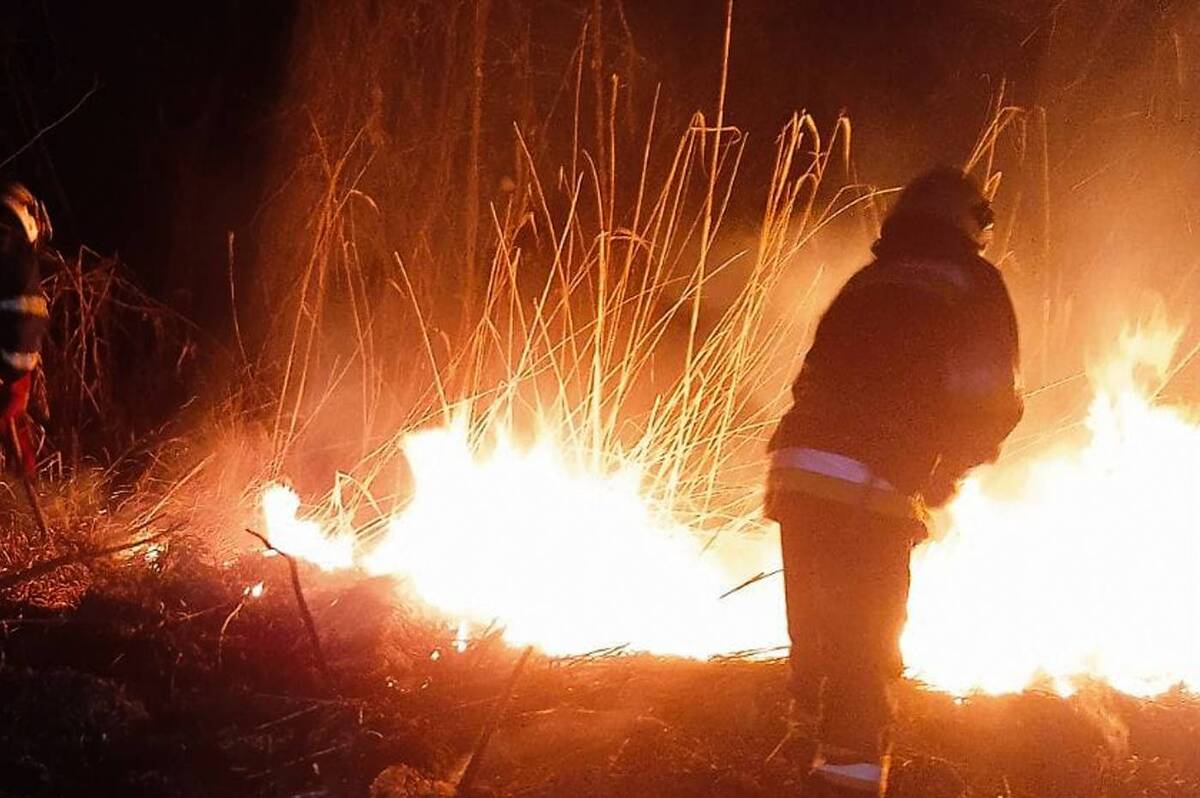 Масштабні пожежі на Вінниччині: чому не можна палити траву