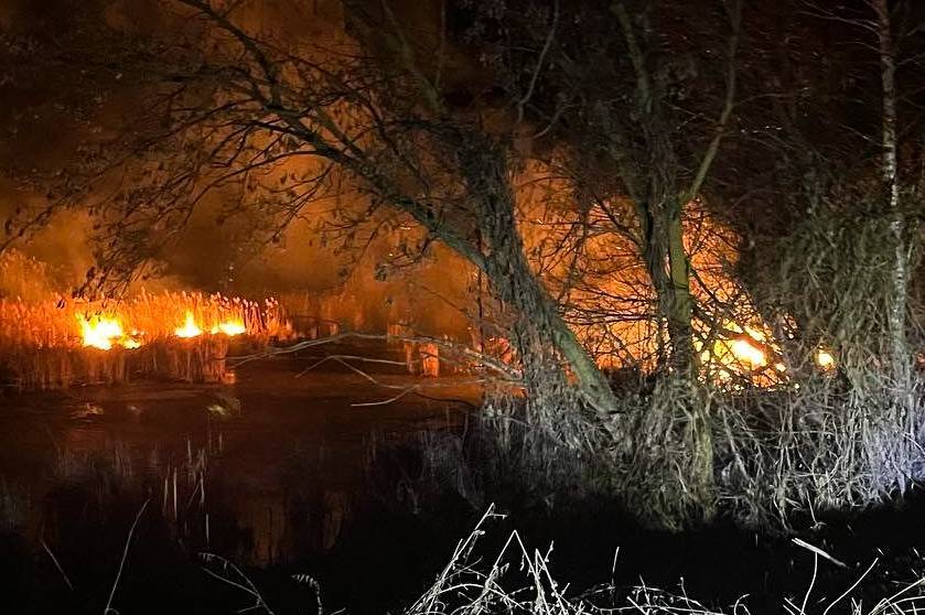 Вогонь охопив гектари землі на Вінниччині, горіло житло та підприємство: подробиці