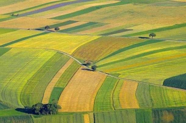 Колишньому сільському голові на Вінниччині загрожує до 6 років позбавлення волі: що відомо