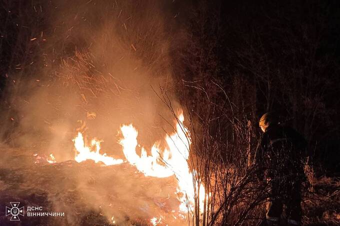 Вогонь нищить природу: понад 100 загорянь за добу ліквідували на Вінниччині