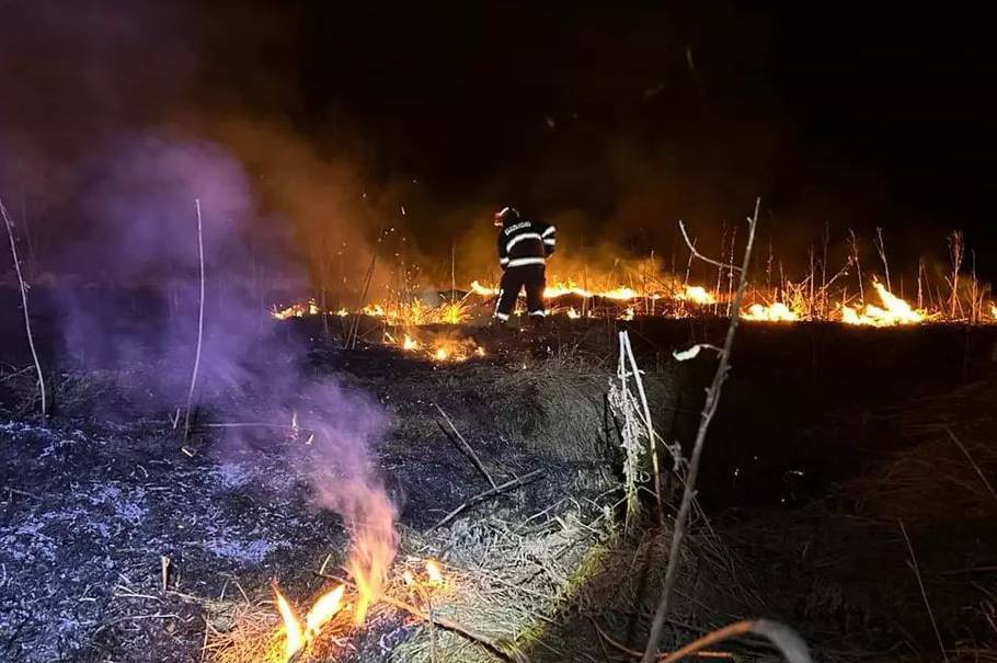 На Вінниччині протягом доби горіли екосистеми в усіх районах області: вигоріло 18 гектарів