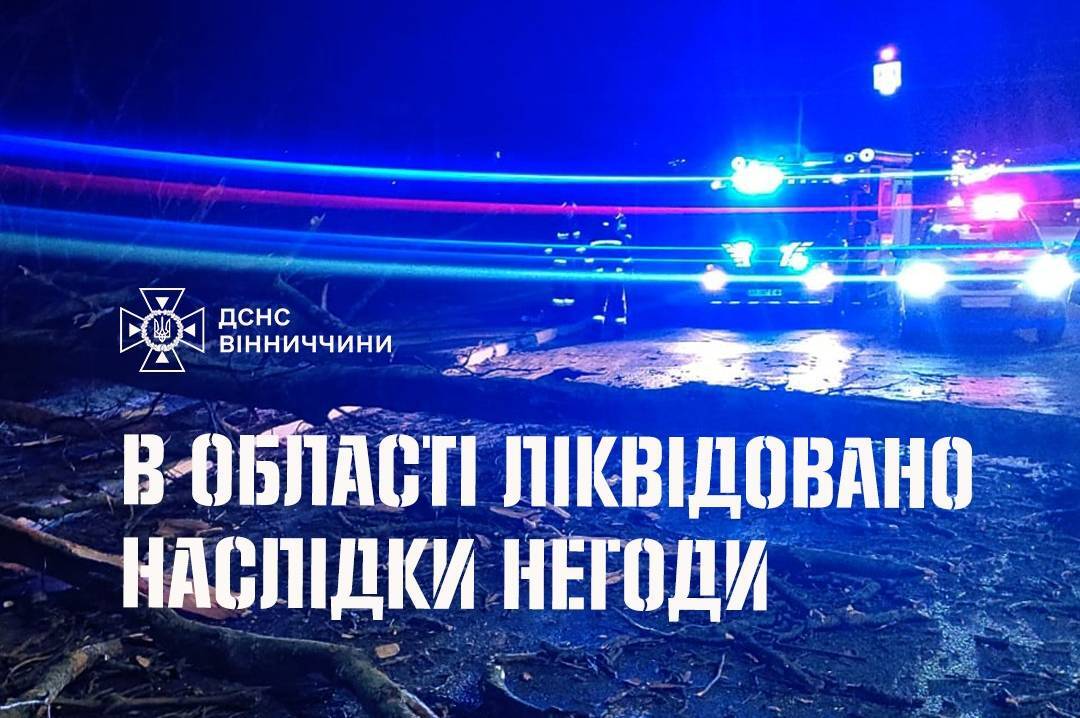 На Вінниччині сильний вітер повалив дерева: що відомо