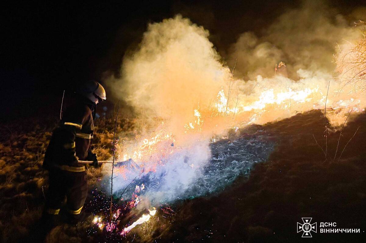 За добу на Вінниччині згоріло понад 16 гектарів сухостою: подробиці та фото