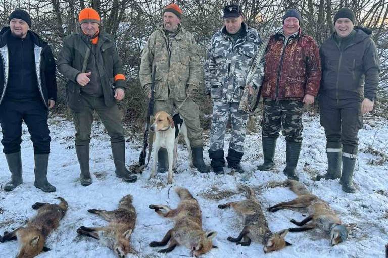 Під час регулювання чисельності хижих тварин на Вінниччині добуто 504 лисиці