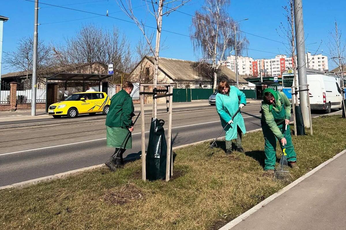 У Вінниці почали встановлювати мішки для поливу молодих дерев