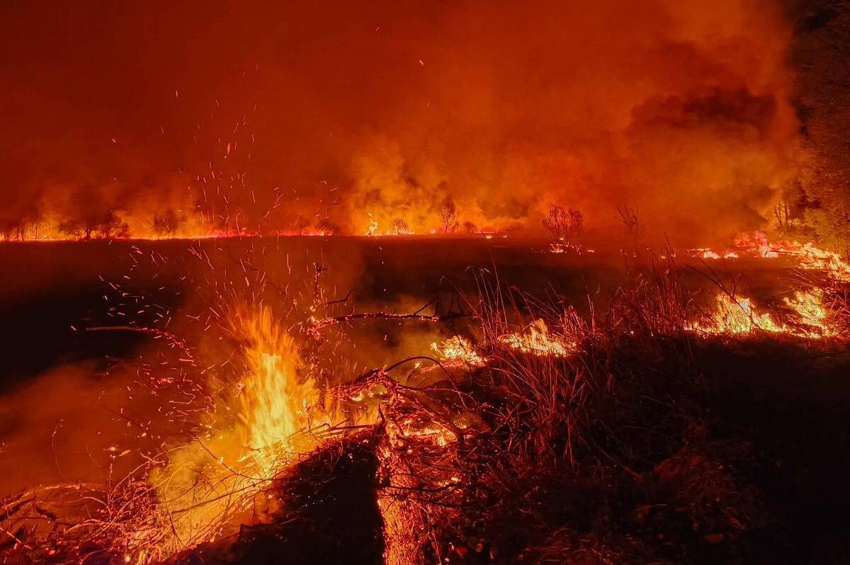 Внаслідок людської недбалості на Вінниччині згоріло понад 20 гектарів сухостою (фото та відео)