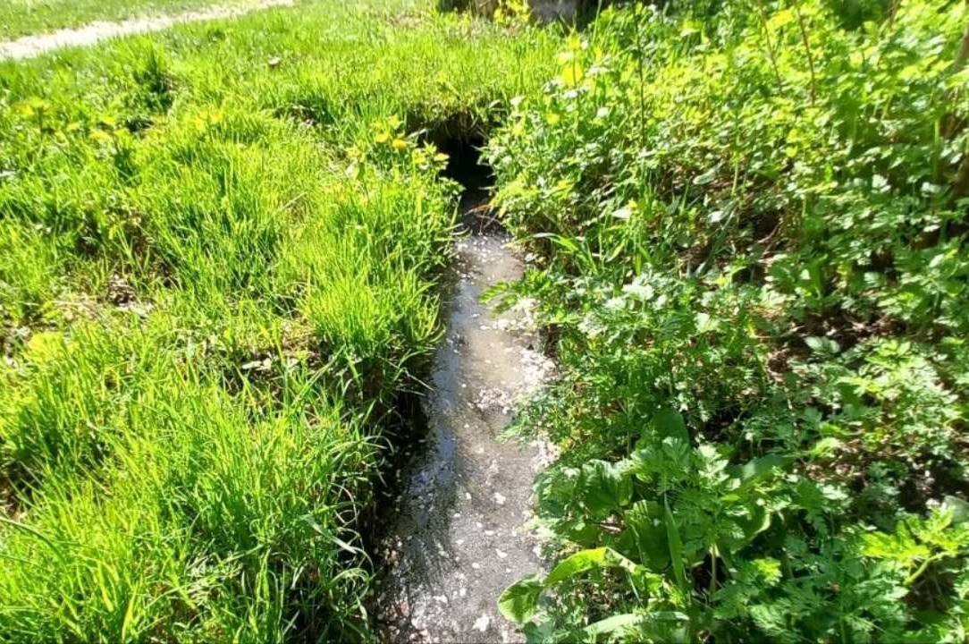 Оштрафують вінничанку, яка забруднила струмок нечистотами