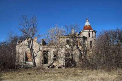 На Вінниччині в хащах виявили руїни забутого палацу (фото)