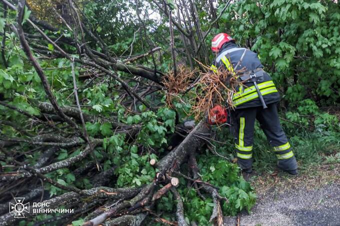 Рятувальники ліквідовували наслідки негоди на Вінниччині (фото)