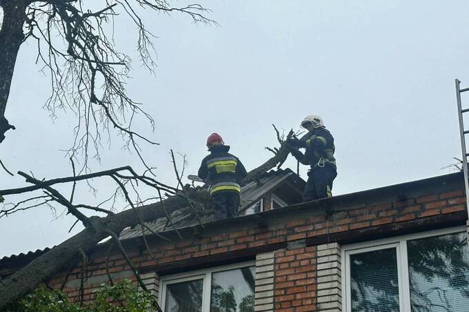 У Вінниці негода повалила дерева на будинки та дороги: подробиці та фото