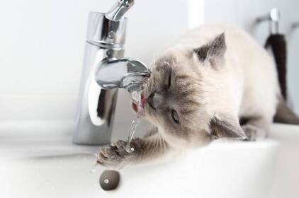 У Водоканалі повідомили про відключення води на 5 червня: чому та як надовго