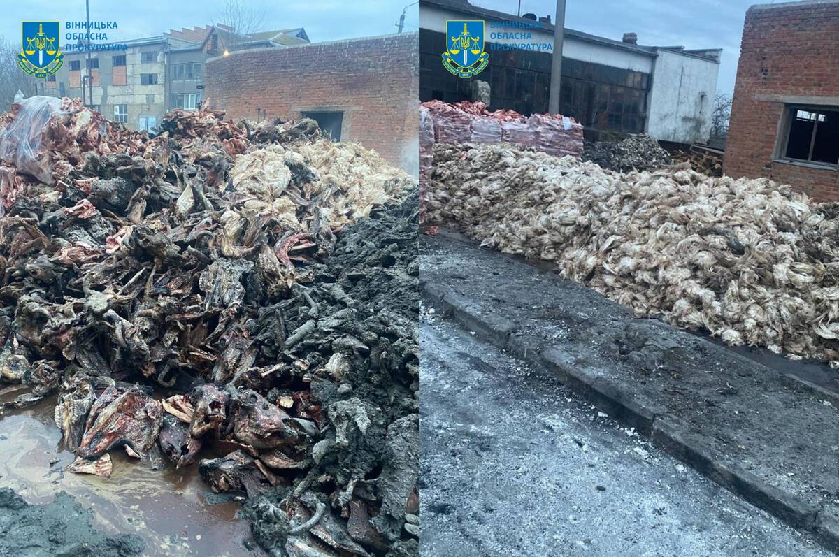 На Вінниччині судитимуть керівника філії «Укрветсанзаводу» за забруднення землі тваринними відходами