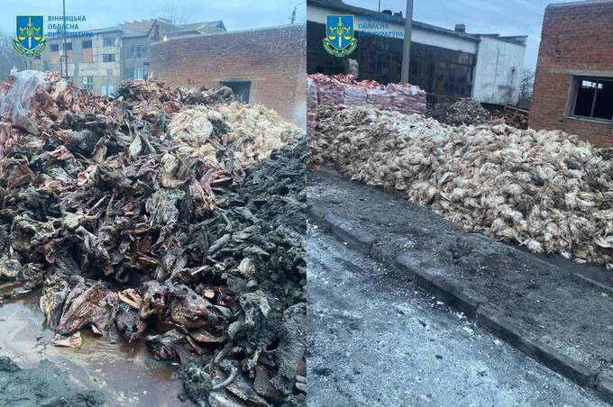 На Вінниччині судитимуть керівника філії «Укрветсанзаводу» за забруднення землі тваринними відходами