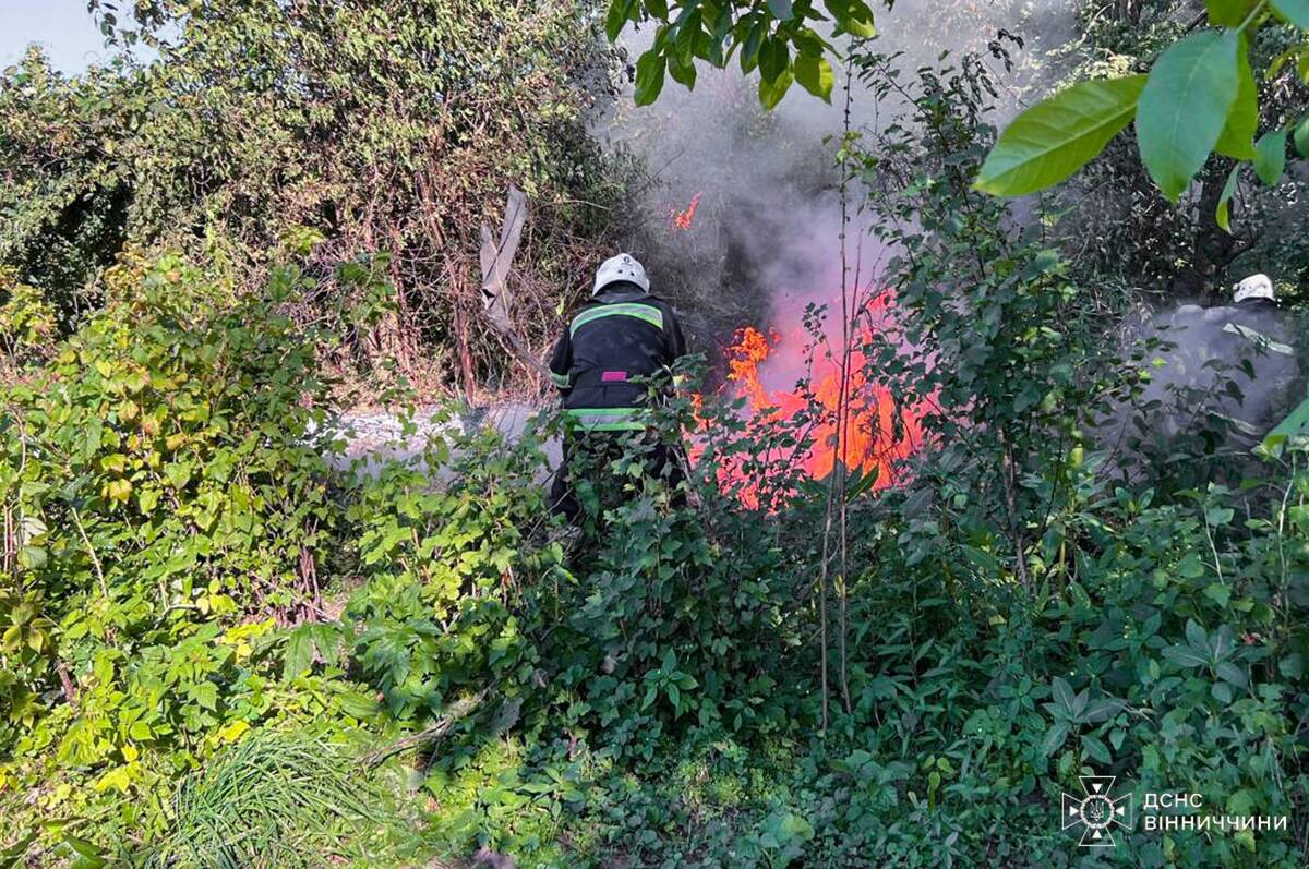 На Вінниччині рятувальники загасили 6 пожеж на відкритій місцевості (ФОТО)