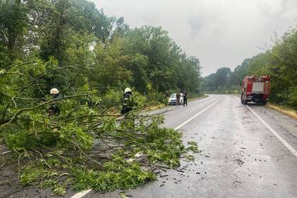 Негода на Вінниччині: рятувальники чотири рази виїжджали розчищати дороги від повалених дерев