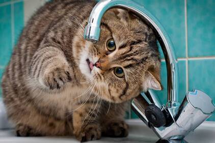 Де у Вінниці 11 липня не буде світла та води: адреси
