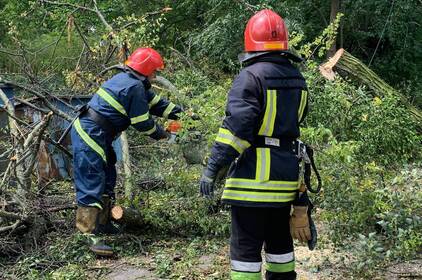 На Вінниччині рятувальники шість разів прибирали повалені буревієм дерева (ФОТО)
