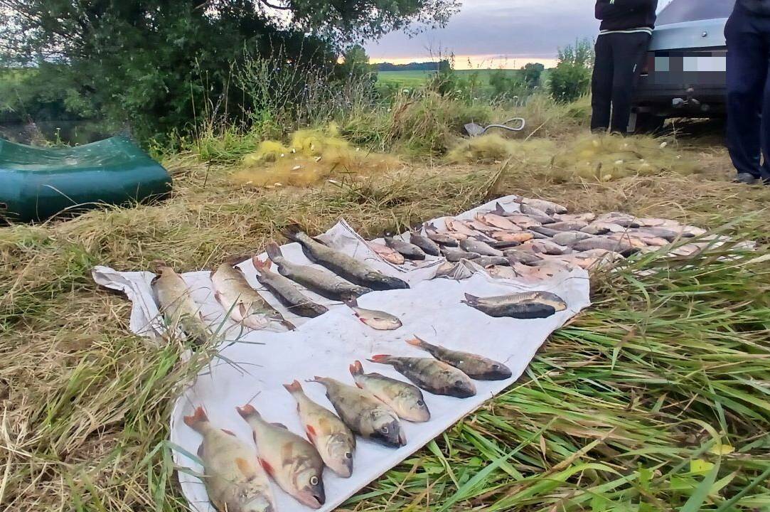 Наловили риби на 143 тисячі: у Тростянці викрили браконьєрів на човні