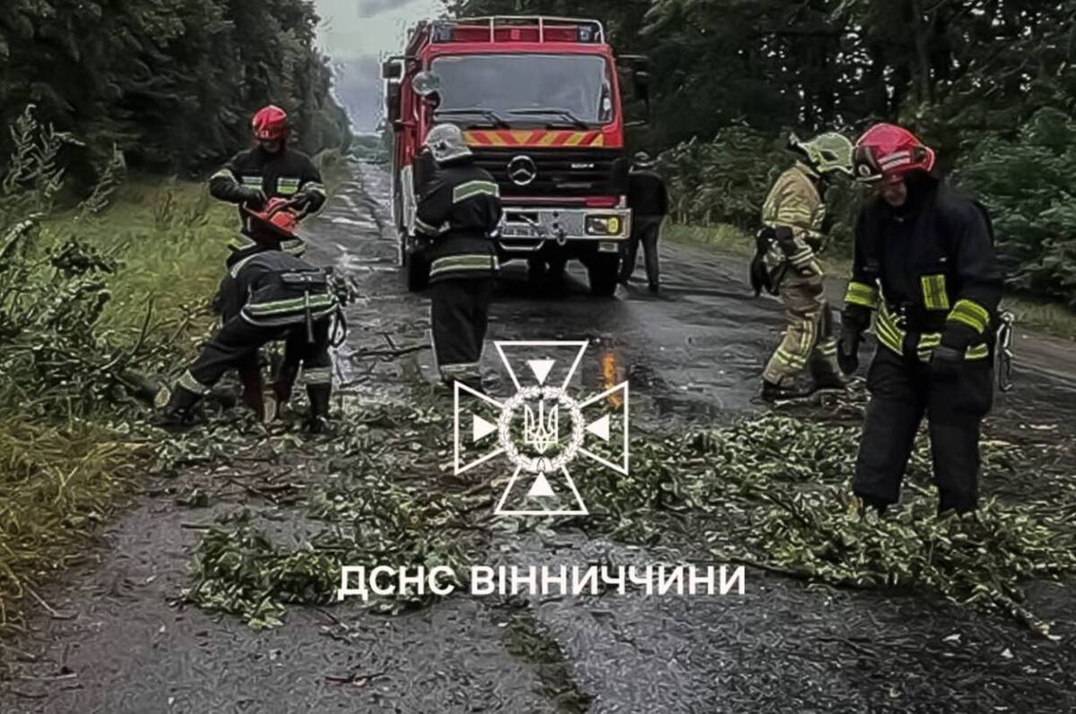 Вінниччина після зливи: десятки дерев на дорогах і вода в підвалах.


