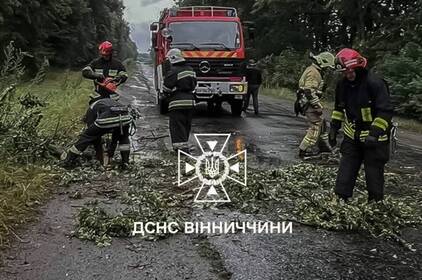Вінниччина після зливи: десятки дерев на дорогах і вода в підвалах.

