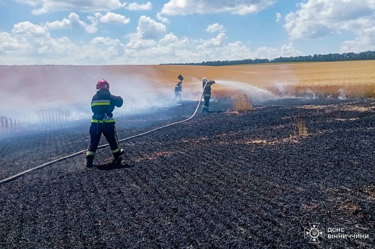 Через людську недбалість у Вінницькій області ледь не згоріло пшеничне поле