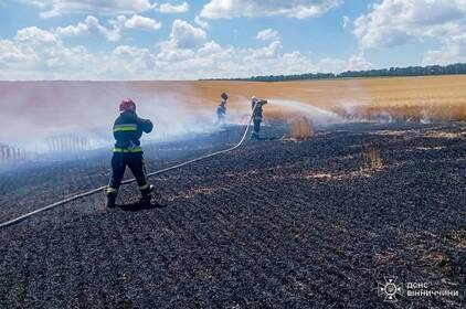 Через людську недбалість у Вінницькій області ледь не згоріло пшеничне поле