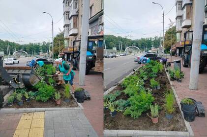 На вулиці Пирогова у Вінниці облаштували антикишені та висадили квіти