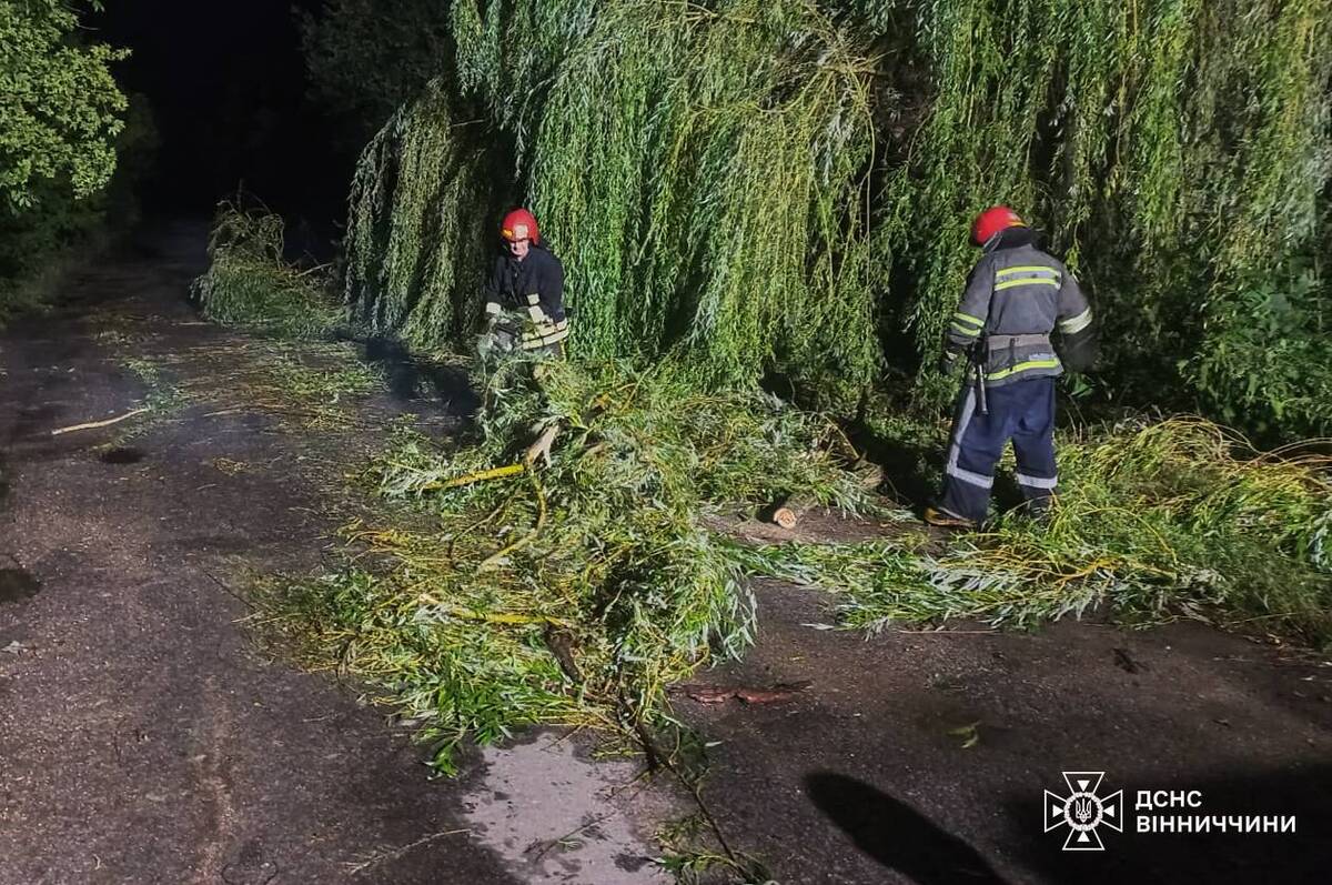 Повалені дерева, підтоплення і зірвані дахи: Вінниччина другий день потерпає від негоди 