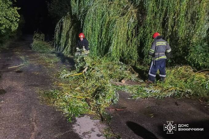 Повалені дерева, підтоплення і зірвані дахи: Вінниччина другий день потерпає від негоди 