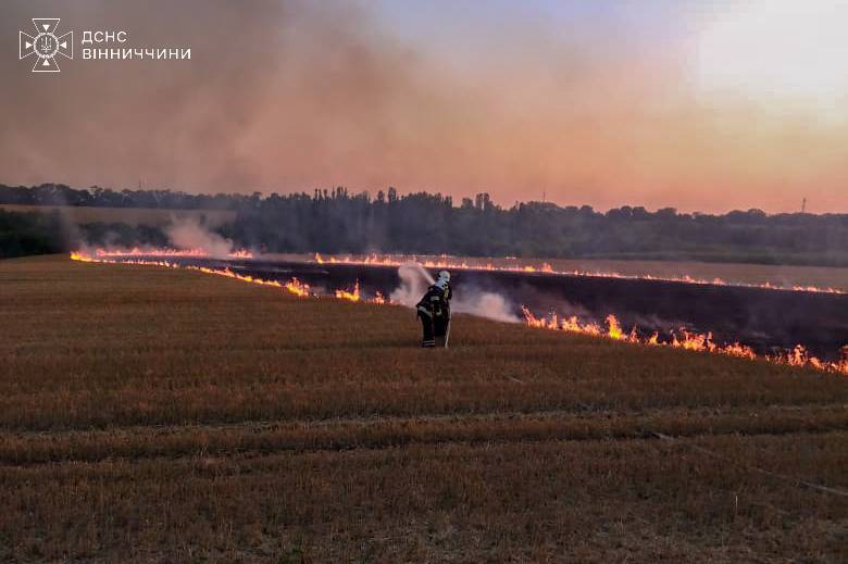 На Вінниччині минулої доби ліквідували 16 пожеж, більшість – на відкритих територіях