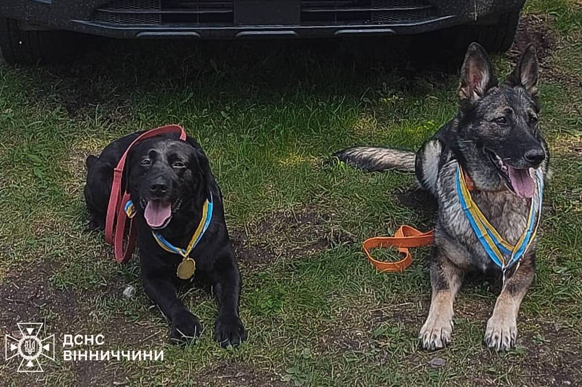 Вінницькі собаки-рятувальники Норіс і Фріда серед найкращих в Україні (фото)