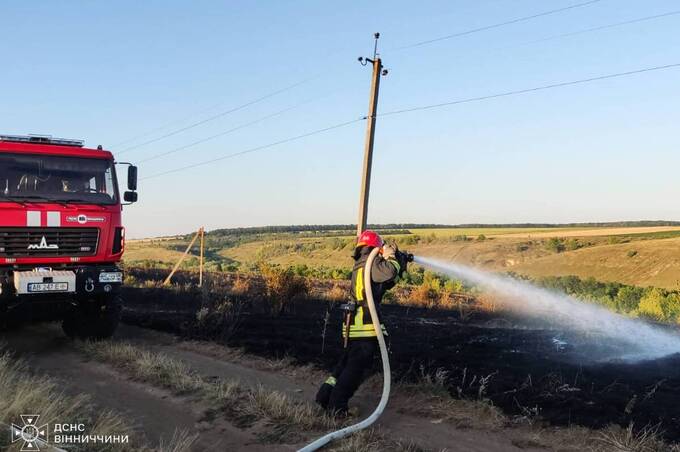Минулої доби у двох районах області горіли екосистеми (фото)