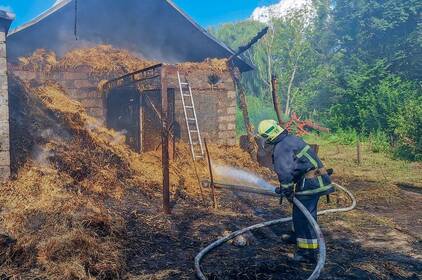 На Вінниччині за добу сталося 25 пожеж: вогонь знищив понад 10 гектарів землі