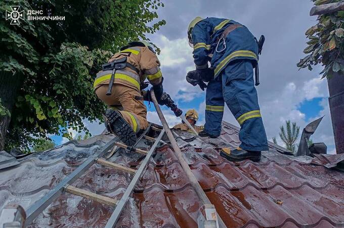На Вінниччині за добу ліквідували 9 пожеж: вогонь знищив понад 5 га екосистем