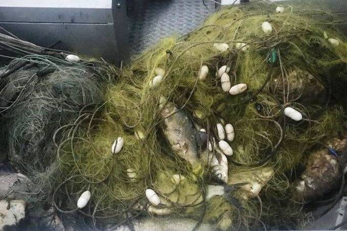 Чоловіку «стало зле» під час незаконного вилову риби: що вирішив суд
