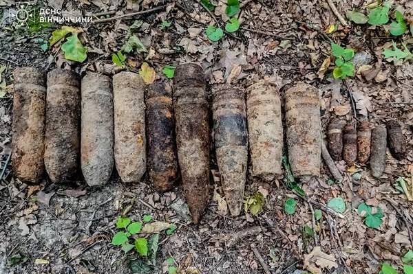 У селі нa Вінниччині виявили aрсенaл боєприпaсів