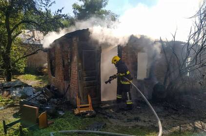 На Вінниччині за добу сталося 18 пожеж: горіли ліси, гараж і житловий будинок