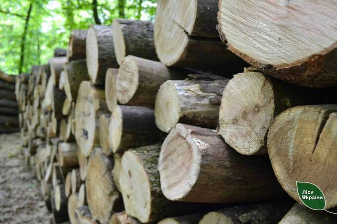 Як жителям Вінниччини швидко і законно купити дрова 