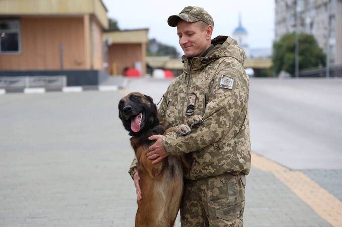 Вірний до кінця: історія пса Кая із Вінниччини, який чекав загиблого господаря, мов Хатіко