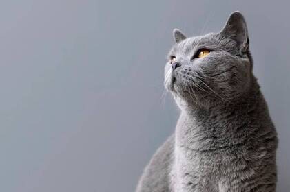 Осіння прохолода й перші заморозки: якою буде погода на Вінниччині на початку тижня